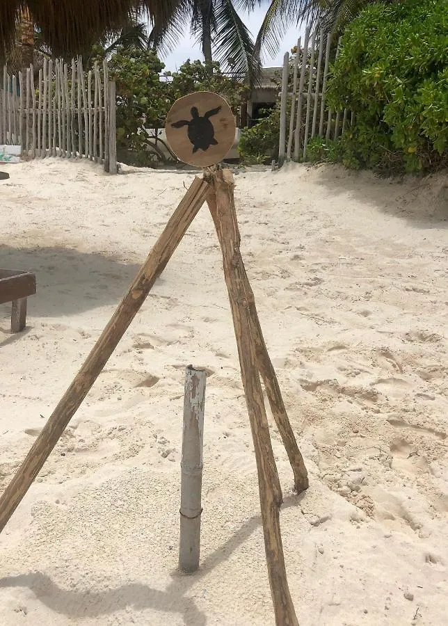 Casa Carolina Tulum Villa