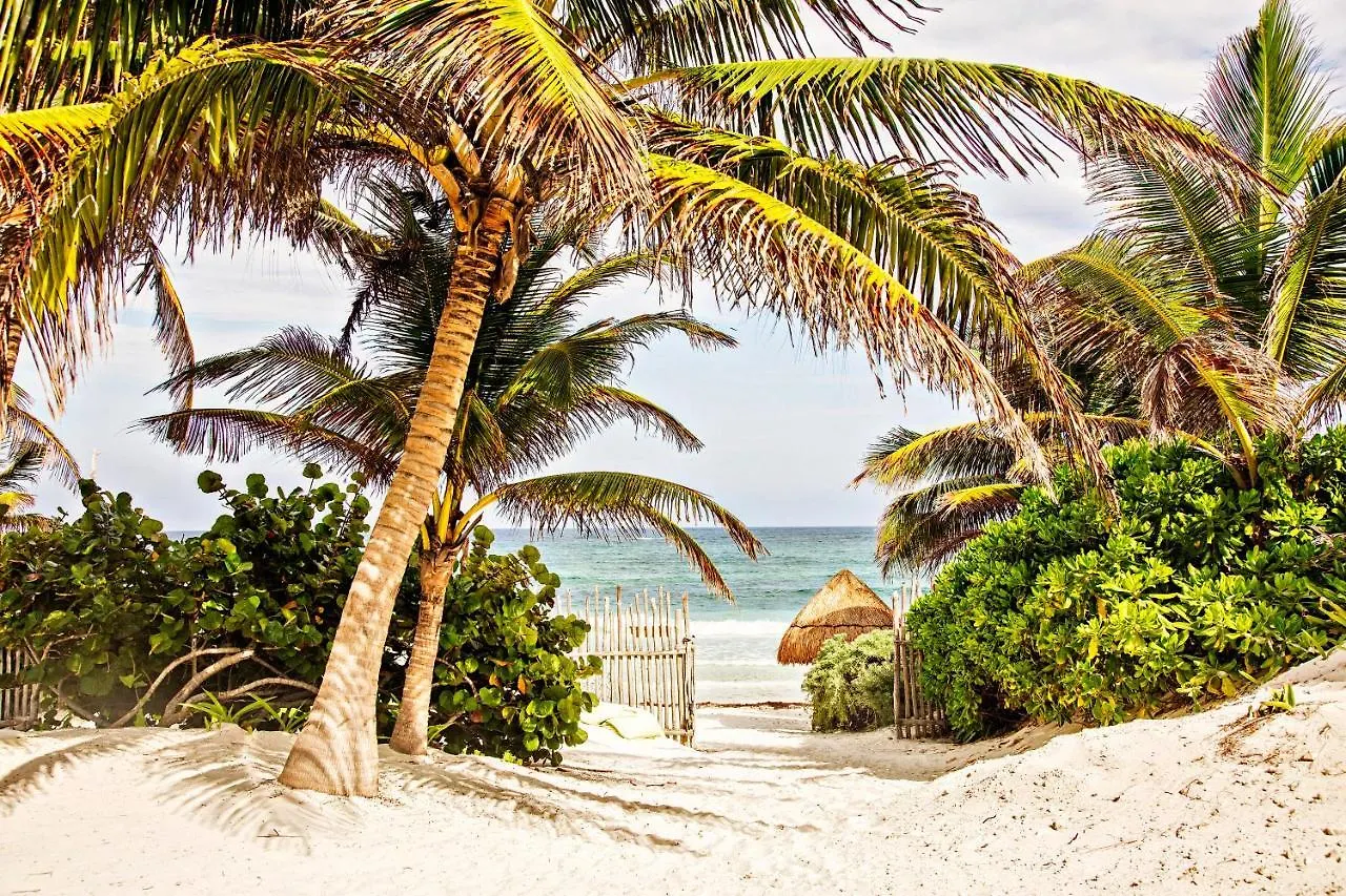Casa Carolina Tulum Villa