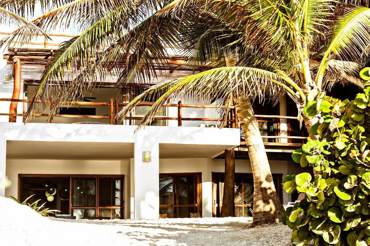 Casa Carolina Tulum location