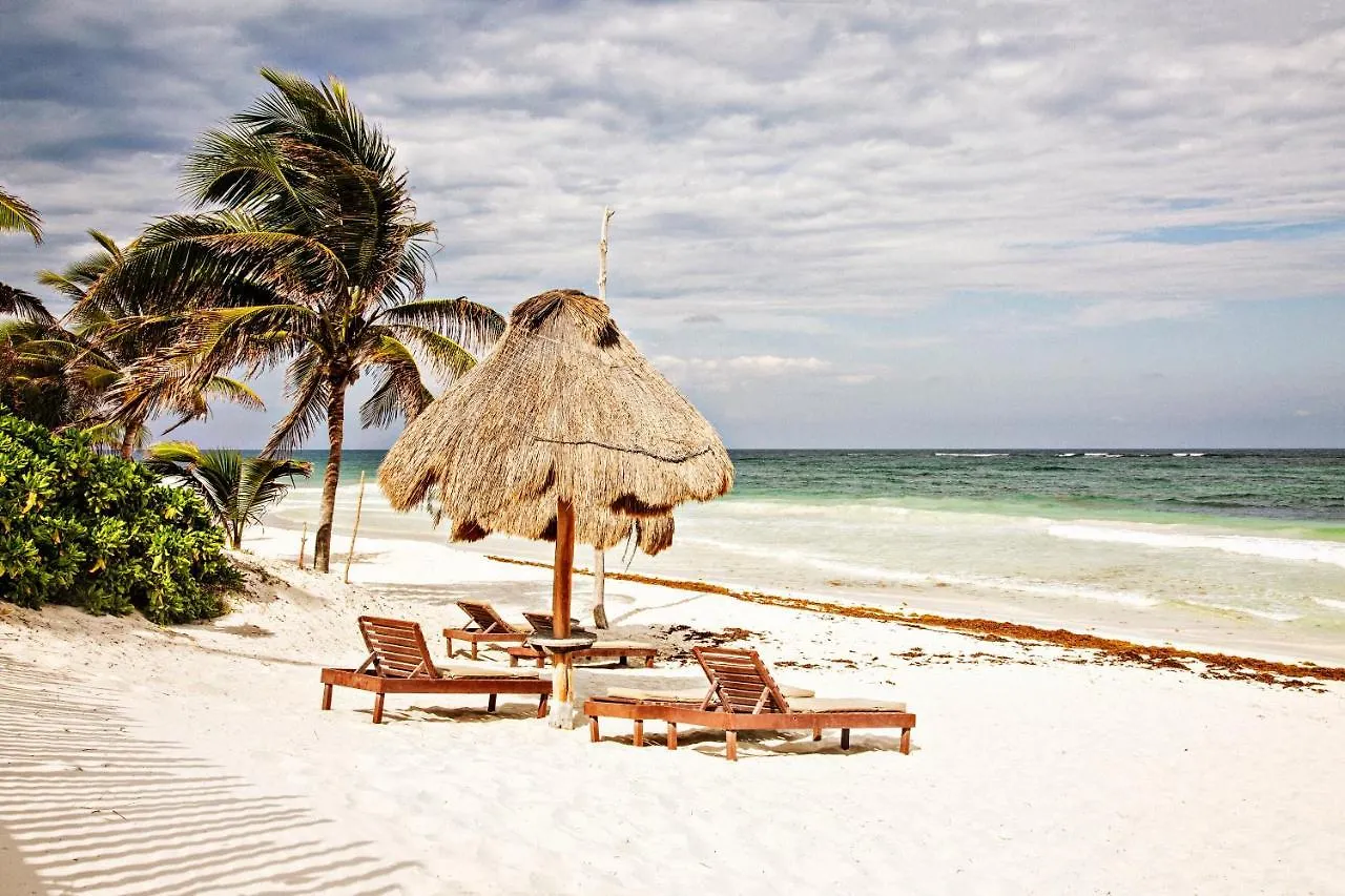 Casa Carolina Tulum 빌라