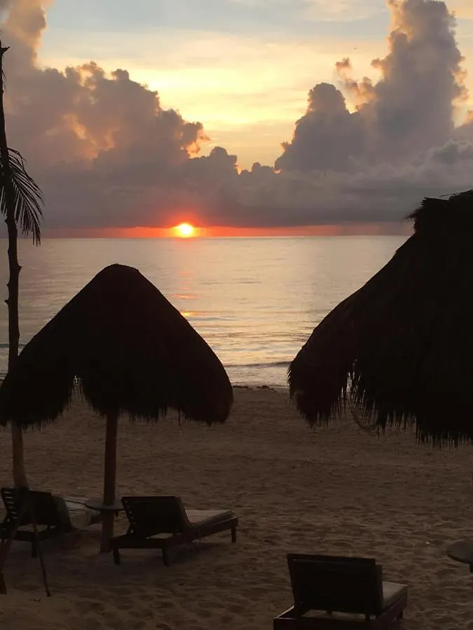 Casa Carolina Tulum 빌라