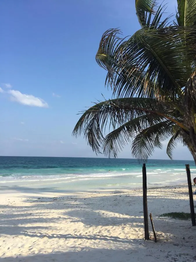 Casa Carolina Tulum 빌라